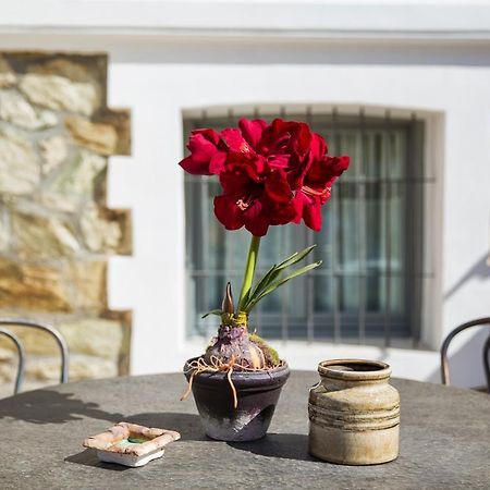 סלוניקי Classic Villas Ouziel מראה חיצוני תמונה
